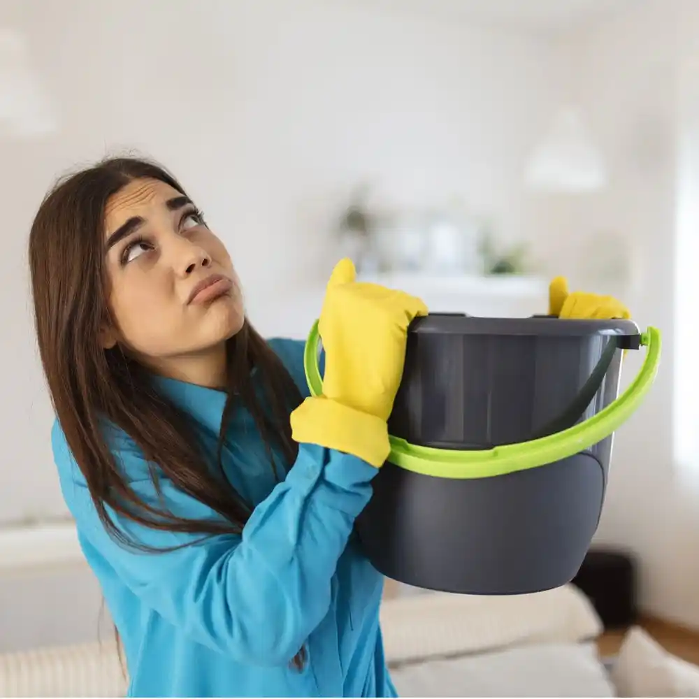 water damage restoration service Dana